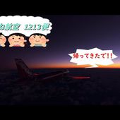 あまね航空　1213便　ただいま