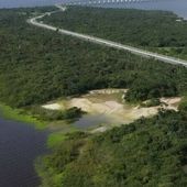 Les ravages de l'activité humaine et de la sécheresse sur l'Amazonie