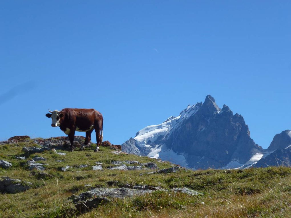 Le plateau d'Emparis à la fin de l'été