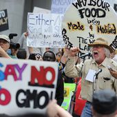 Monsanto can't explain how GMO wheat survived