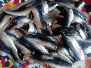 Boulettes de sardines