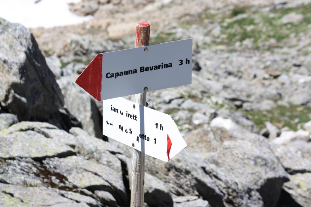 Foto dell'escursione sul Sentiero degli Stambecchi del 31.07.2010, dal Pass Geirett al Sasso Lanzone.