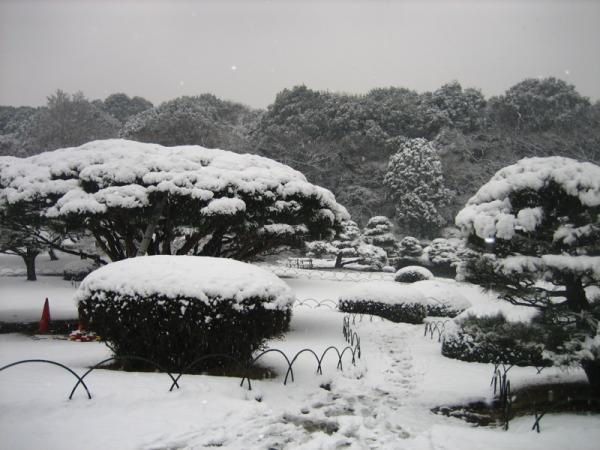 Album - Neige sur Tokyo