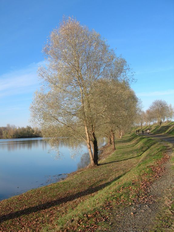 Promenade à quelques kilomètres de Tarbes très agréable, fréquentée aussi par les pêcheurs.