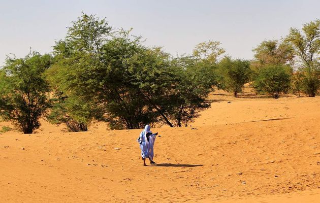 Changement climatique en Mauritanie : « Comment se développer tout en n'écorchant pas les maigres ressources du sol et de la mer ? »