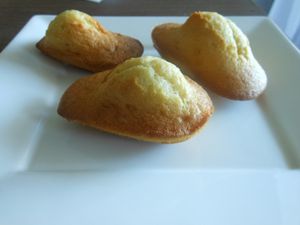 Madeleines à la vanille