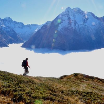 L'écho des  randos de PAN   Plantes Aventure Nature  