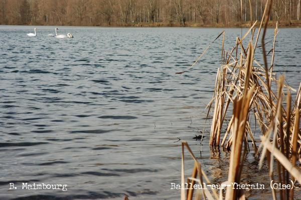 Vous trouverez, dans cet album, une série de photos prises aux étangs de Bailleul-sur-Thérain (Oise)et Montreuil-sur-Thérain entre janvier 2006 et 2008.