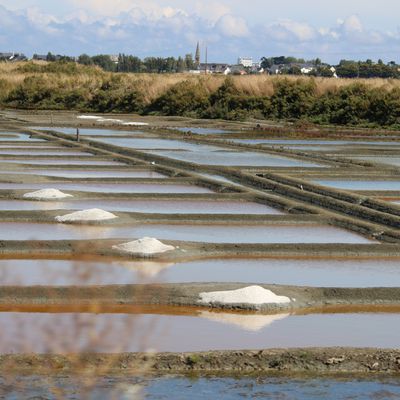 Marais Salants