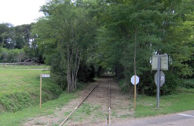 LE VELO-RAIL, UNE ACTIVITE LUDIQUE