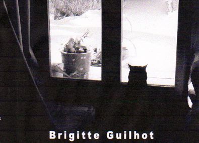 "Soluble", un roman de Brigitte Guilhot