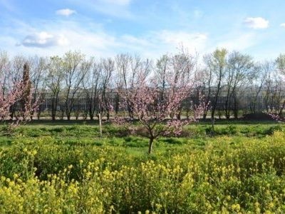 Pétition : Soutenez la ferme pilote de la Durette !