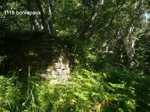 photographie des métairies de vèbre