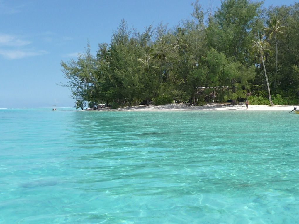 Etape obligée pour visiter l'île de Paques. Christophe et Laurence nous ont rejoint et on a passé quelques jours de vacances ensemble entre Moorea et Papeete. On a aussi revu Pascal qui vit là bas.
Le lagon est vraiment génial. Eau chaude et po