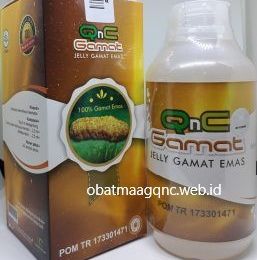 Obat Herbal Sakit Pinggang