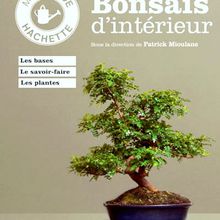 Mini guide Hachette "Bonsaïs d'intérieur" (Patrick Mioulane - Jochen Pfisterer)
