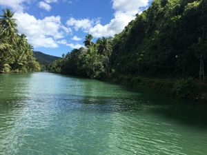 Découverte de Bohol