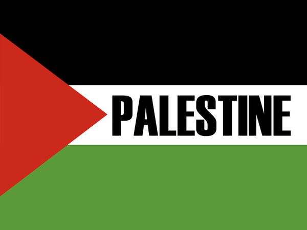 La Palestine à l'ONU : maintenant appliquons les droits des palestiniens !
