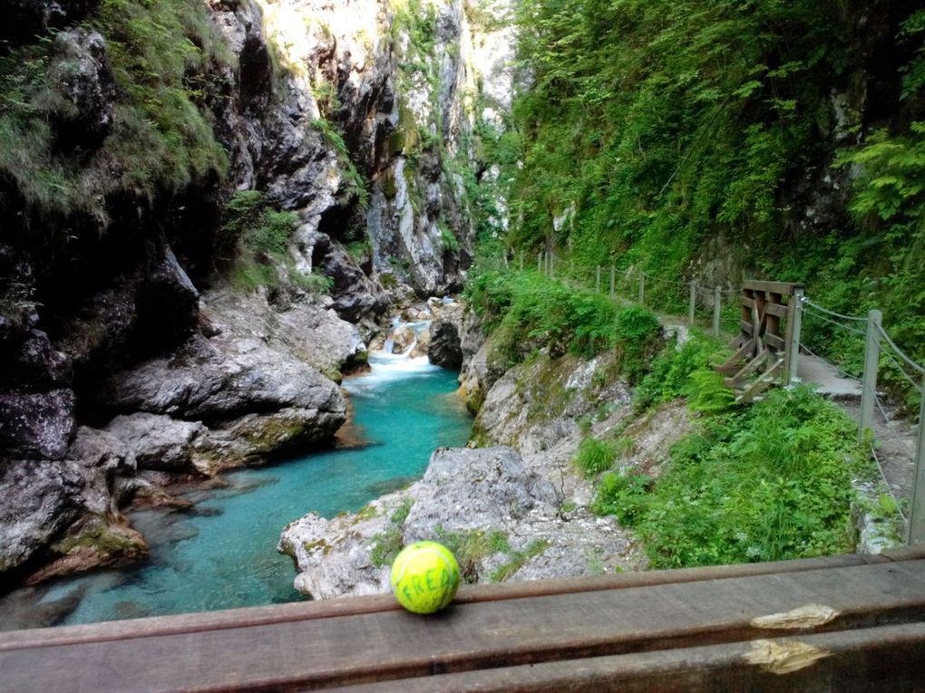 Les gorges de Tolmin