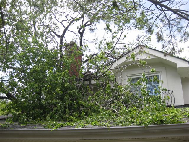 7 mai 2010, un vent de tempête casse un arbre qui s'abat sur la maison.