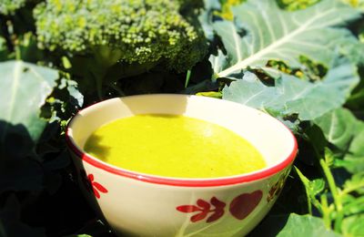 Soupe aux Brocolis /Broccoli Soup