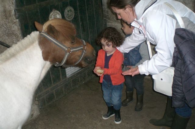 Album Centre Equestre PS-MS