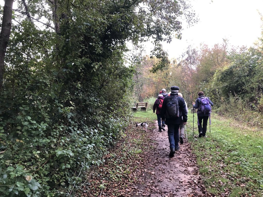 Randonnée de Mennecy à La Ferté-Alais 17,6 km.