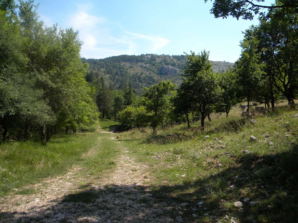 Le sentier de Nans