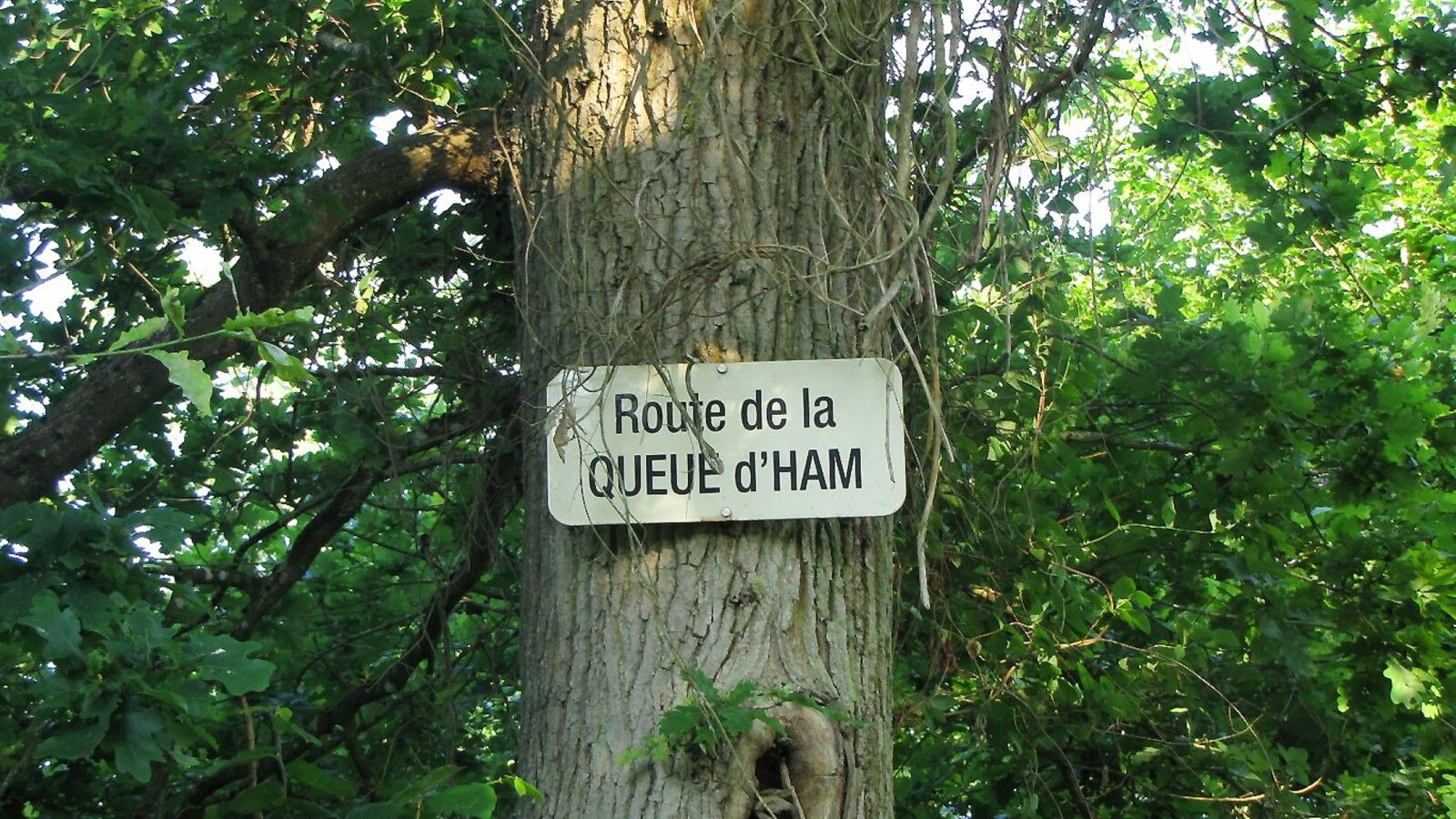la Route de la Queue d'Ham