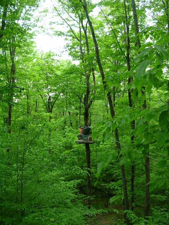 Album - Acrobranche au Mt Tremblant