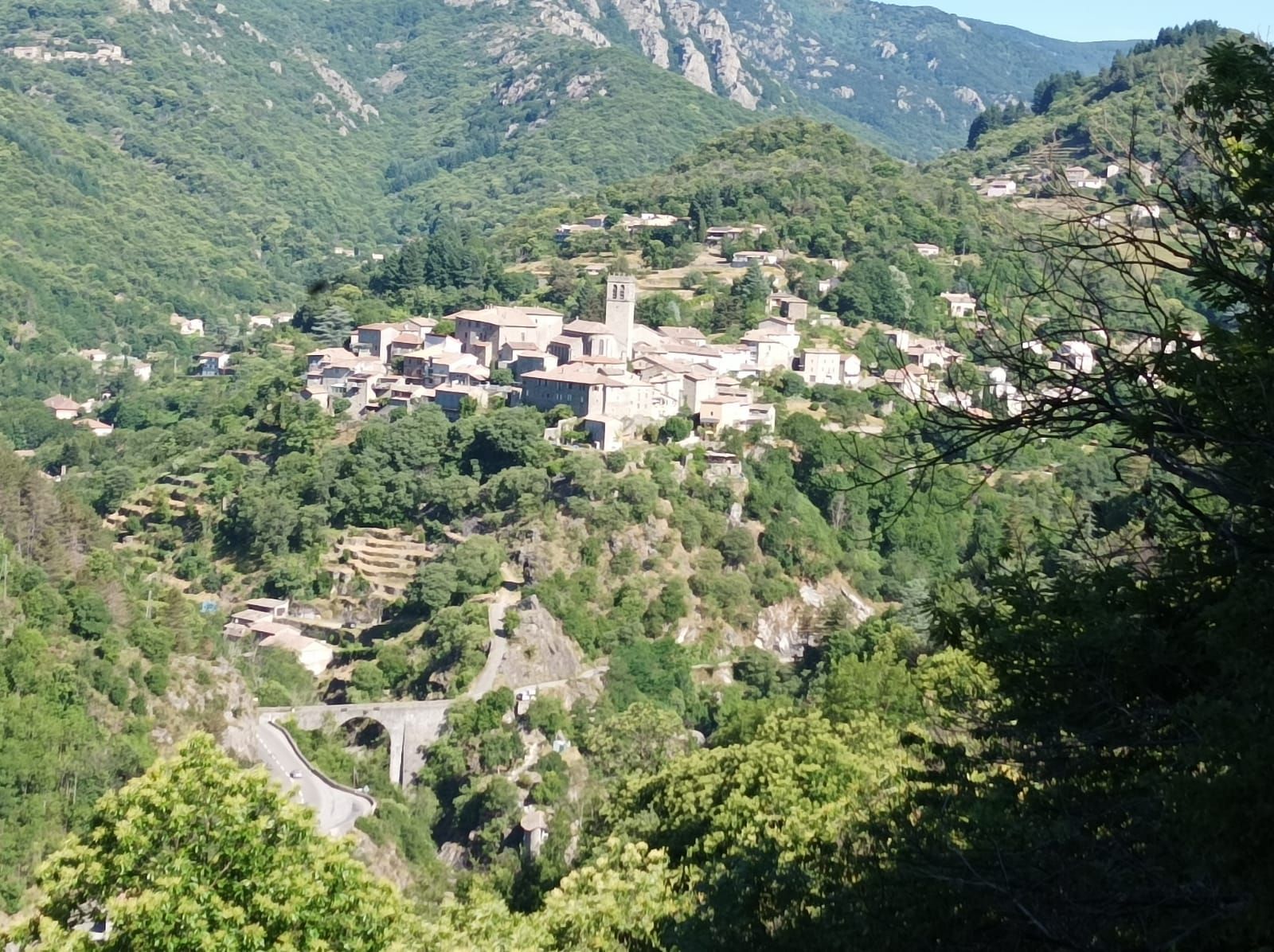 APERO