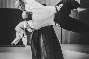 aikido la roche sur yon vendee stage Argelès Gazost 