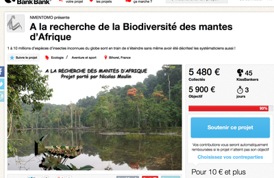 AB soutient le projet : A la recherche de la Biodiversité des mantes d’Afrique