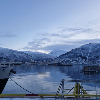 15 Janvier Visite de Tromso et embarquement vers Honnigsvag