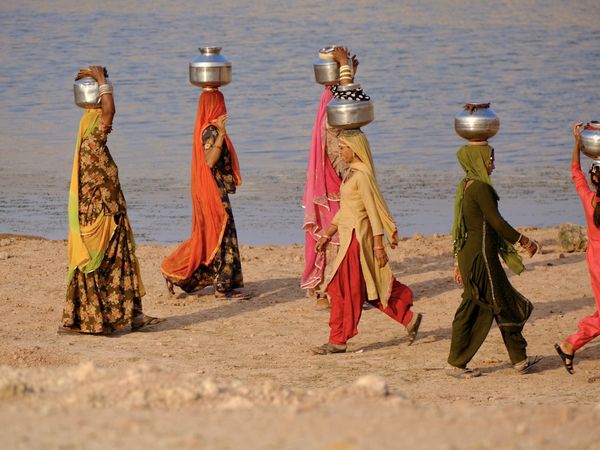 RAJASTHAN (Inde 🇮🇳)