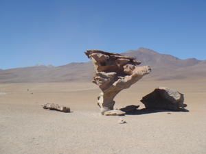 Apercu avec quelques photos de mon court sejour en Bolivie.... ca donne envie de revenir pour visiter le nord!