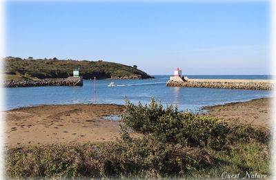 Jusqu'à Port Sable avec Hatos 