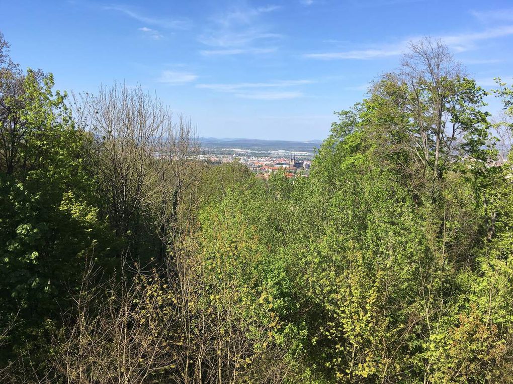 Bamberg 2017 - der Lauftag