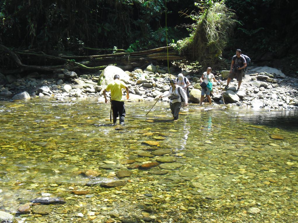 Album - 132--Trek-vers-la-Ciudad-Perdida