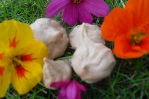 Meringues au café et au chocolat