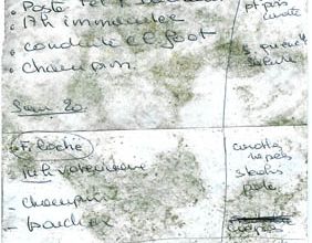 Maculée
