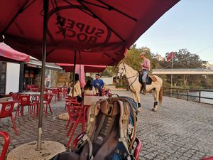 Odemira à l'horizon.  L'art de boire la bière en Alentejo. 