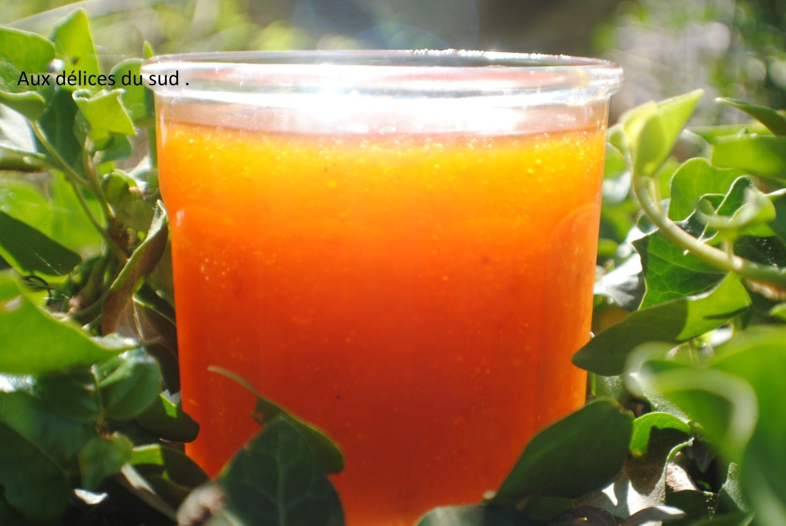 Confiture d'abricot ,verveine . 