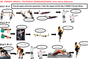 SÉANCE CROSSFIT - DOMINANTE PECTORAUX / DORSAUX / GAINAGE