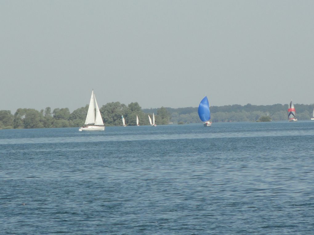 Photos du Plein-Seil 2012 au Lac du Der dans la Marne.