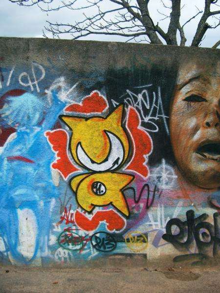 voila des photos&nbsp;de graffitis prises aux alentours du skatepark et du stade carcassonne: