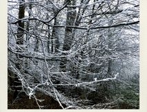 Cartes Postale pour une Fée 2022
