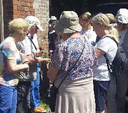 40 plantes pour les 40 ans de l'UAD