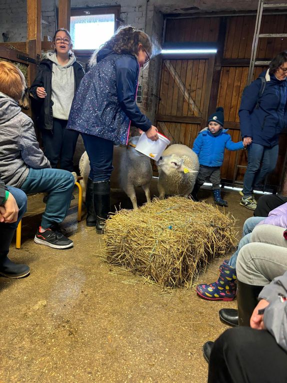 Ce matin nous avons nourri les moutons et cuisiné une recette typique. Cette après midi petite visite des animaux de la ferme. Les oiseaux  Et ensuite fabrication d’un attrape rêves et dégustation de nos rabottes ( spécialité ardennaise )