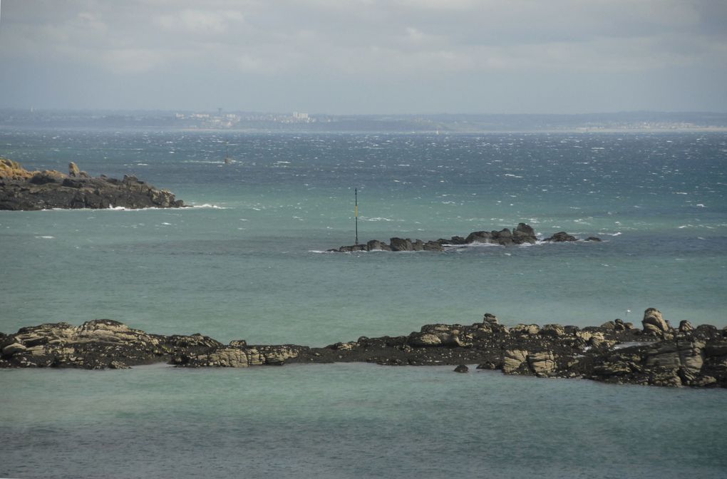 Ces photos ont été prises par Bruno Robert, rencontré au hasard d'un anniversaire à la Ferme de Chausey... qu'il soit ici vivement remercié !